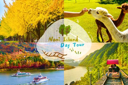 Alpaga / Nami Island / Petite France / Garden of Morning Calm / Rail Bike / LEGOLAND Tour de Séoul