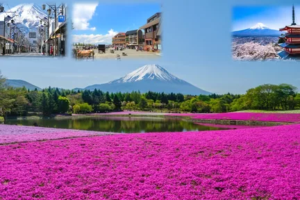 新仓山公园、本町商店街、河口湖、Lawson、大石公园、富士山、忍野八海 赏樱一日游