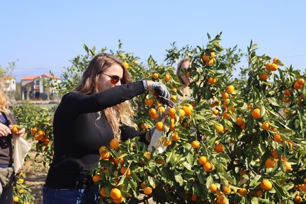 제주도 농촌에서 농부로 살아보기🍊 듀얼라이프 - 듀어커