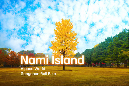 Nami/Hanbok/Alpaca/Rail Bike/Petite France/Morning Calm Oen Day Tour