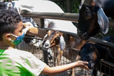 Entrada al zoológico de Central Park en la ciudad de Nueva York