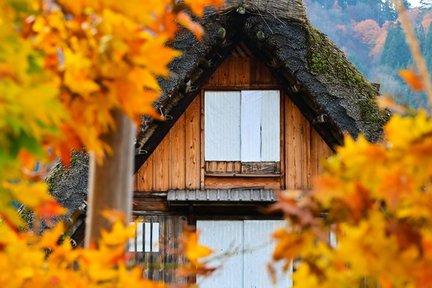 Shirakawago & Gujo Hachiman & Hida Takayama One Day Tour from Nagoya