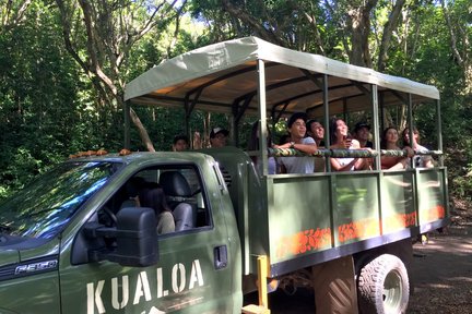 Excursion d'expédition en jeep dans la jungle jurassique de Kualoa Ranch