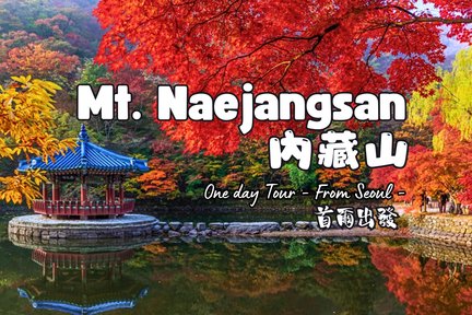 Naejangsan National Park - Autumn Maple One Day Tour from Seoul 