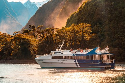 กิจกรรมล่องเรือชมมิลฟอร์ด ซาวด์ (Milford Sound)