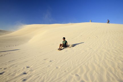 Pinnacle Desert Explorer dengan Lancelin Sandboarding di Perth