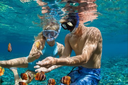 Lawatan Separuh Hari Snorkeling & Memancing Ikan di Son Tra