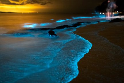  Phang Nga Bay Bioluminescent Plankton dan Kano di Phuket