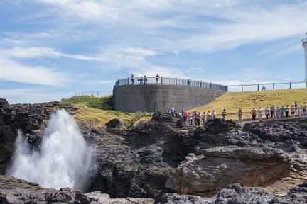 Wollongong and Kiama Korean Guided Day Tour di Sydney