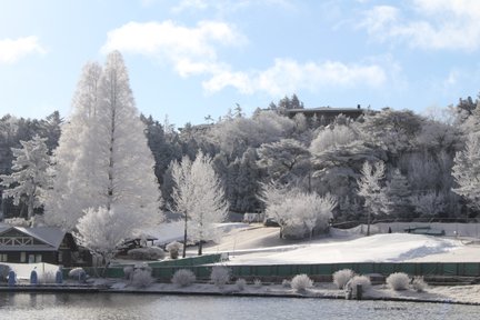 Play with Snow! Crab Buffet Lunch and Strawberry Picking Bus Tour