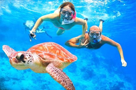 Pengalaman Snorkeling di amed dengan Pilihan Melawat Gates of Heaven atau Tirta Gangga