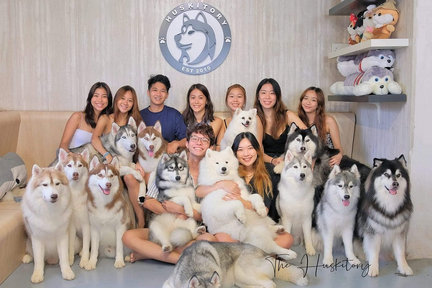 馬六甲哈士奇和柴犬體驗中心 (Siberian Husky and Shiba Inu Experience Centre in Melaka)