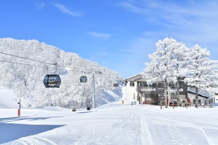 Nagano Nozawa Onsen Ski Holiday 2-3 Days | Departing from Shinjuku