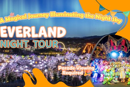 All-Inclusive Seoul to Everland Night Tour