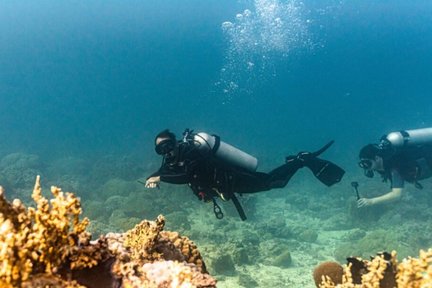 Siargao Serenity: Dive Twice in Mindanao's Jewel with PADI Center