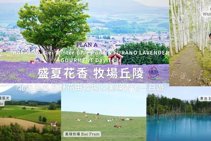 Hokkaido｜Furano Summer Romance Chasing Lavender Fields One-Day Tour｜Hinode Park／Tomita Farm／Shikisai-no-Oka+Shirogane Blue Pond+Biei Ranch｜Depart from Sapporo