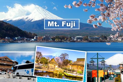 Mt Fuji Day Tour from Tokyo with lunch option