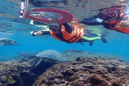 Pingtung: excursion de plongée en apnée à Liuqiu par Bear Diving