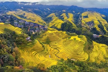 Guangxi Longji Rice Terraces Day Tour (Round Trip from Guilin + Enjoy the Magnificent Scenery of Longji Rice Terraces + Explore Jinkeng Dazhai in Depth + Encounter the Characteristic Culture of Huangluo Yao Village)