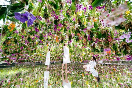 東京豐洲 teamLab Planets TOKYO 門票