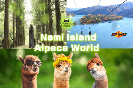 Tour riêng 10 giờ Nami / Alpaca / Chuncheon (Tự chọn điểm tham quan) 