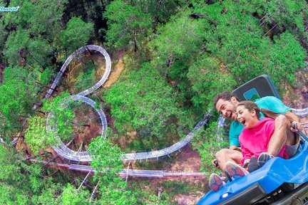 กิจกรรมนั่งรถไฟเหาะดาตันลา นิวอัลไพน์ (Datanla New Alpine Coaster) ในดาลัด