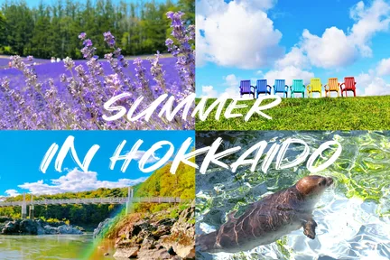 富良野旭川2天1夜之旅|富田农场&四季彩之丘&旭山动物园|礼幌出发 