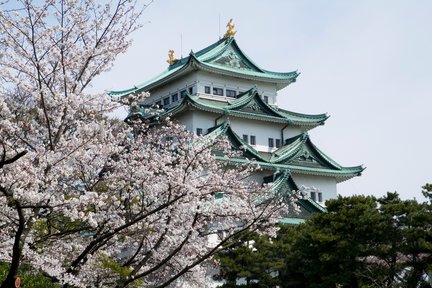 搭乘当地火车游览武士城爱知县的城堡