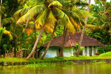 Cochin: Munnar Hill Station Tea Garden Overnight Tour