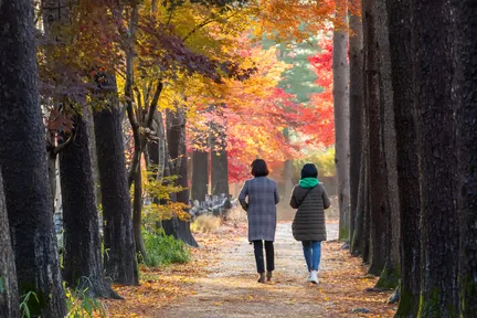 남이섬 입장권 (QR 코드 바로 입장)