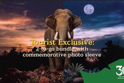 Night Safari Singapore Ticket With Tram Ride