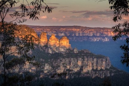 Private Blue Mountains and Kangaroo or Koala Tour