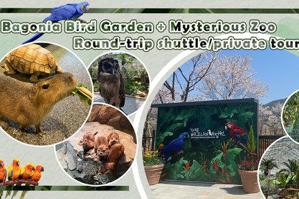 Begonia Bird Garden+Mysterious Zoo+Aqua Cafe Round-trip shuttle