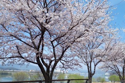 Yangpyeong Yongmun Temple & Paragliding Tour