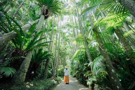 Entrada al Jardín Botánico del Sureste en Okinawa