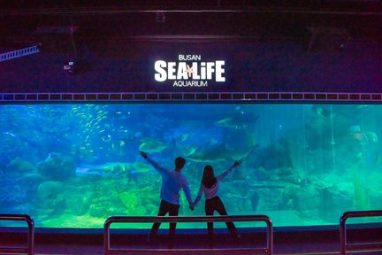 Входной билет в Пусан SEA LIFE