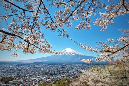 Excursión de un día al monte Fuji y Hakone desde Tokio