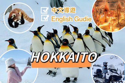 北海道｜旭山動物園&四季彩之丘&美瑛聖誕樹&森林精靈露台一日遊（札幌出發）