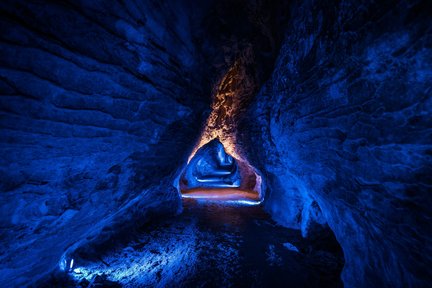 Waitomo Caves and Kiwi House Small Group Tour From Auckland