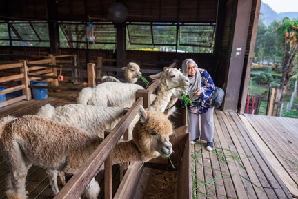 Excursion complète en voiture privée de 4 jours / 5 jours à Khao Yai au départ de Bangkok par TTD