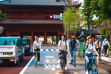 3-Hour Bike Tour of the Historic Sites in Tokyo