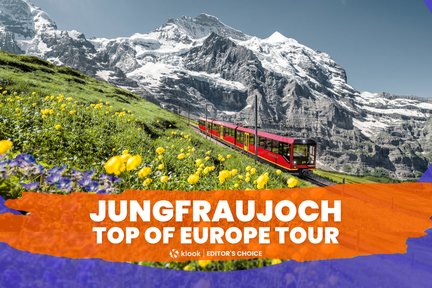 Visite guidée du Jungfraujoch au départ de Zurich, Lucerne et Interlaken