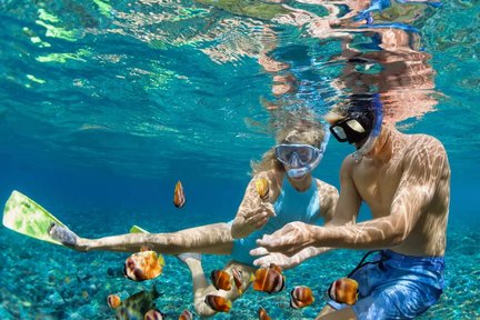 Snorkeling di Dua Tempat Terindah - Hon Buom dan Hon Kim Quy