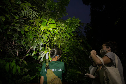 กิจกรรมผจญภัยยามค่ำคืนสำหรับผู้รักธรรมชาติ โดย The Untamed Paths