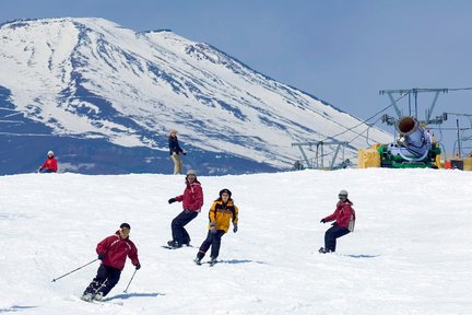 Snow Town Yeti Ski Tour with Round-trip Transfers from Tokyo