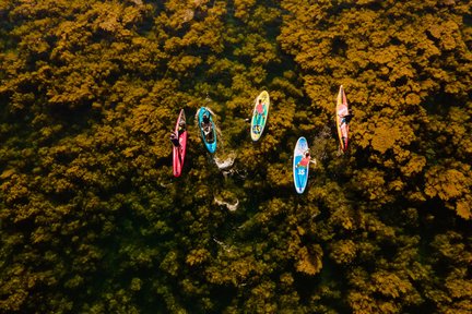 Half-day Private SUP Tour in Quy Nhon