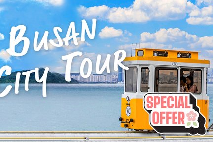 Visite de la ville d'une journée à Busan : capsule Haeundae Sky, train de plage