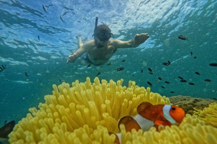 沙美島：5 或 6 島浮潛之旅（含午餐）