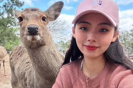 [한국가이드] 나라N우지N아리마온천 버스투어 1일 나라공원 동대사 우지뵤도인 아리마온천 유투어버스