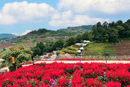 複数日 モンチャム プライベートカスタマイズツアー